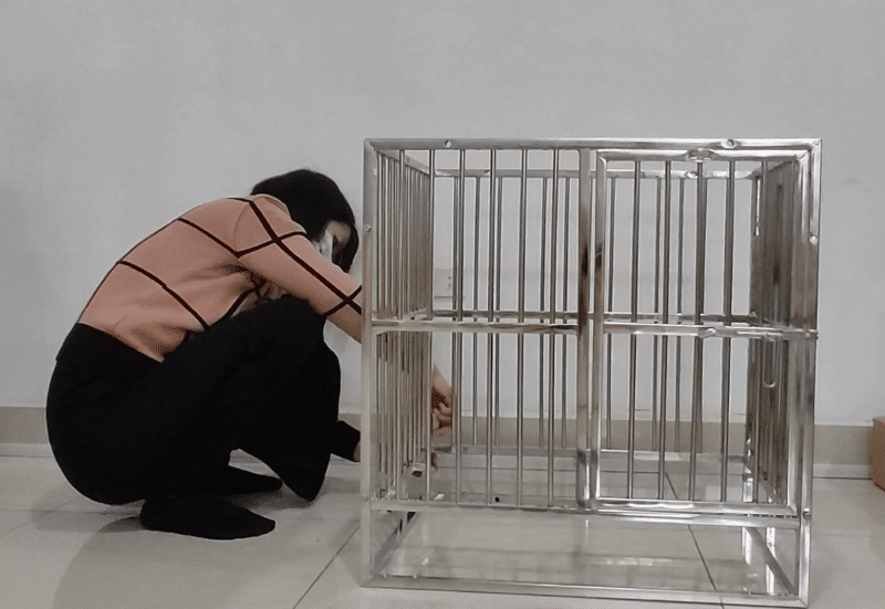 Lắp ghép chuồng chó inox